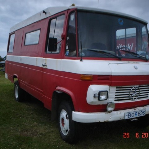 crop-fornbilamot2010_135__large_