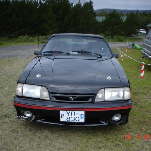 crop-fornbilamot2010_150__large_