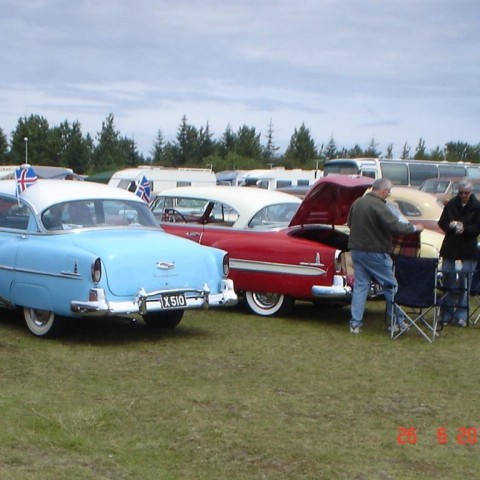 crop-fornbilamot2010_154__large_