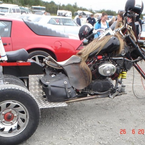 crop-fornbilamot2010_192__large_