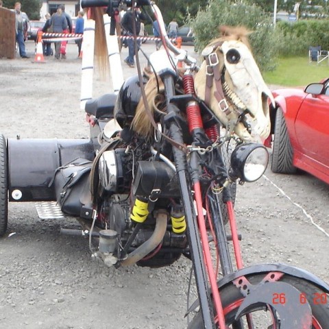 crop-fornbilamot2010_195__large_