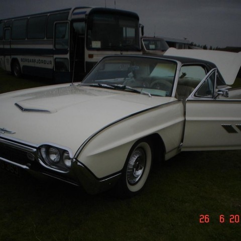 crop-fornbilamot2010_203__large_