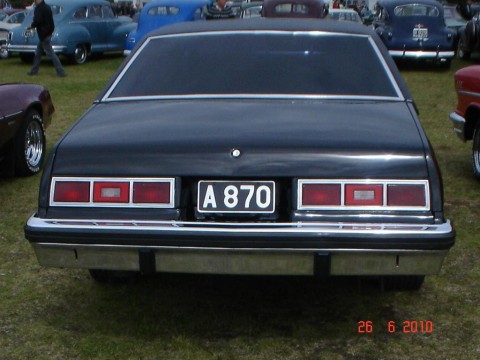 fornbilamot2010_156__large_