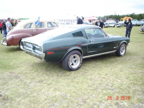 fornbilamot2010_166__large_