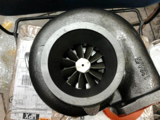 381603_293823093974558_100000406094739_1006828_1676821681_n