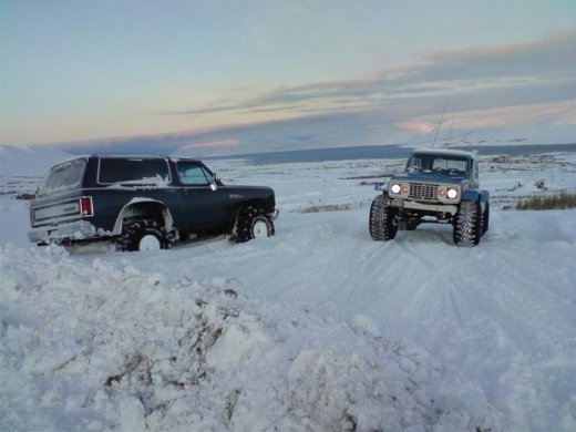 til_b__2-1-10_010__large_