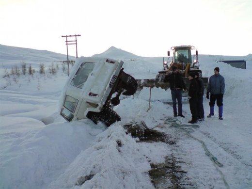 til_b__2-1-10_021__large_