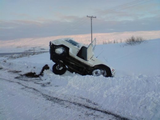 til_b__2-1-10_008__large_