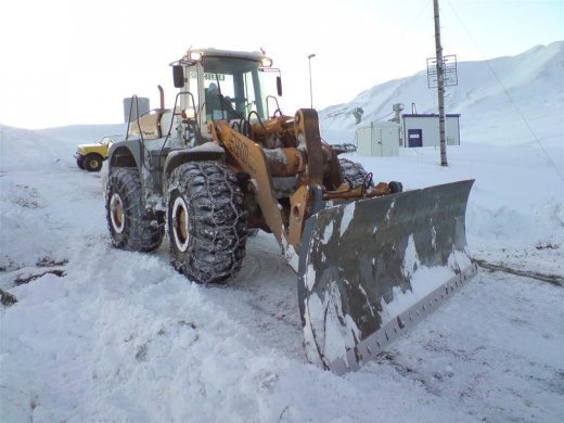 til_b__2-1-10_007__large_