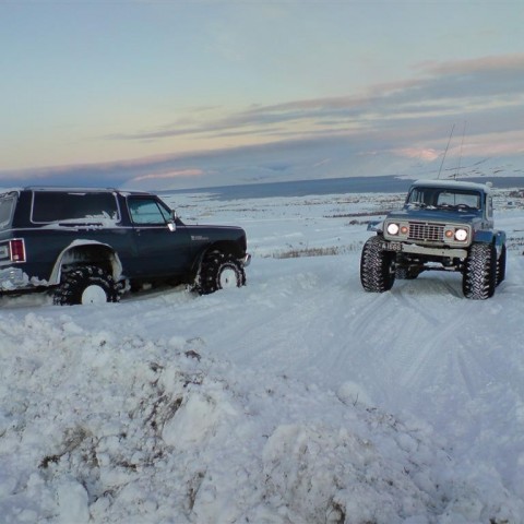 crop-til_b__2-1-10_010__large_