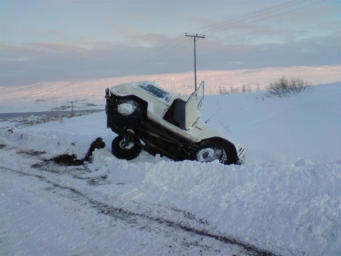 til_b__2-1-10_008__large_