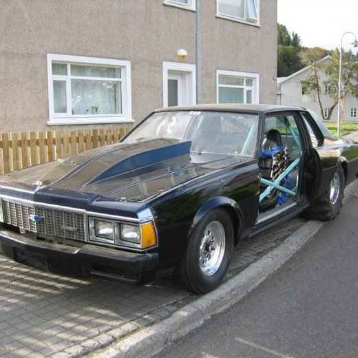 crop-13.09.2010_006__large_