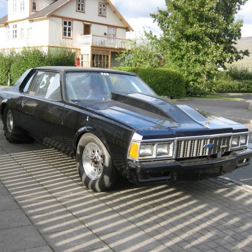 crop-13.09.2010_007__large_