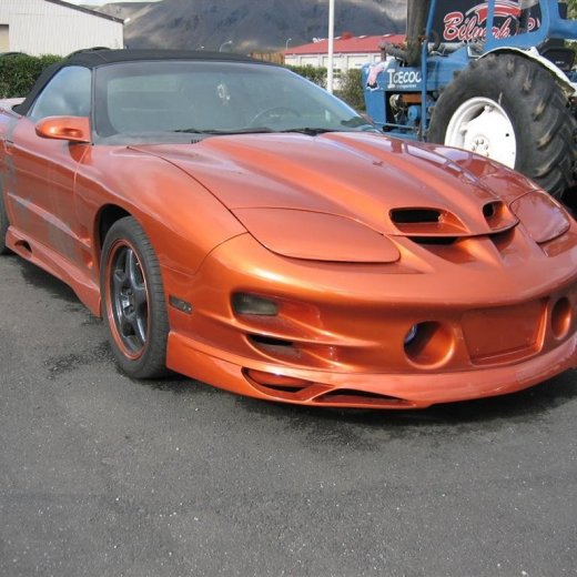 crop-13.09.2010_023__large_