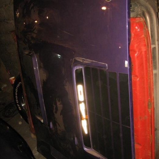 crop-13.09.2010_046__large_