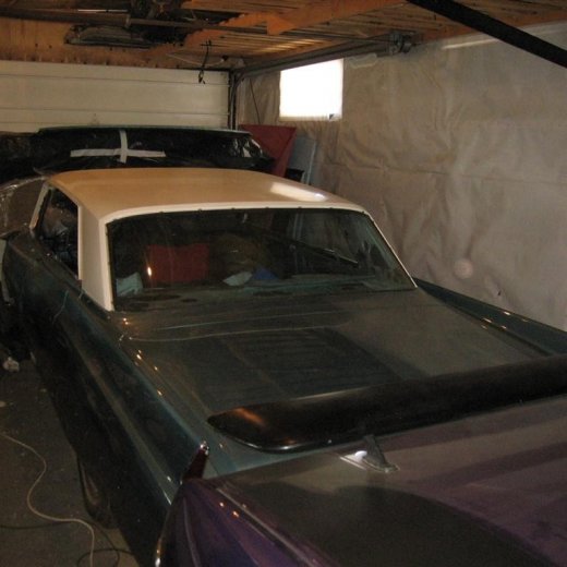 crop-13.09.2010_050__large_