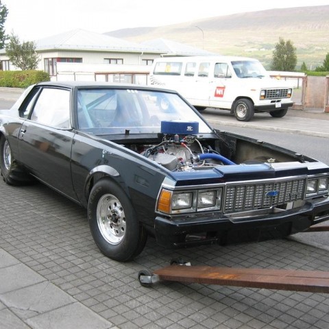 crop-13.09.2010_001__large_