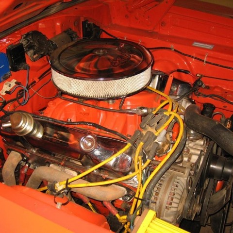 crop-13.09.2010_039__large_