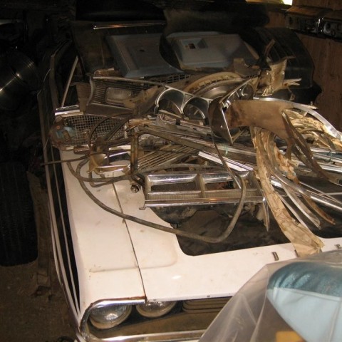 crop-13.09.2010_043__large_