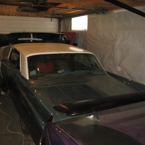 crop-13.09.2010_050__large_