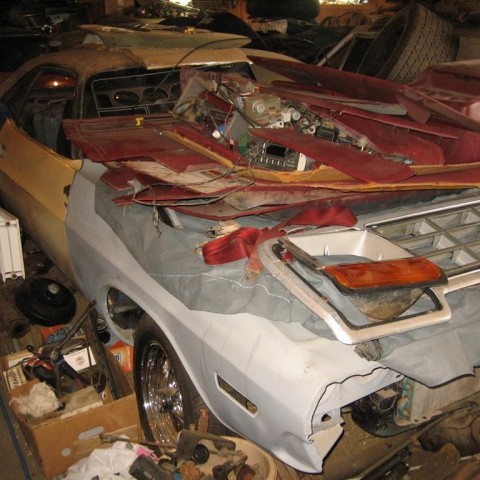 crop-13.09.2010_052__large_