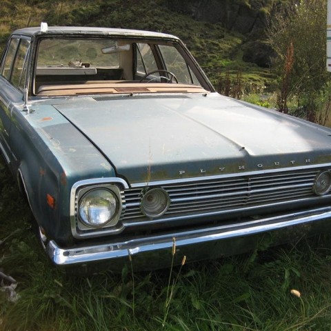 crop-13.09.2010_055__large_