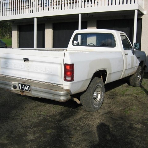 crop-13.09.2010_058__large_