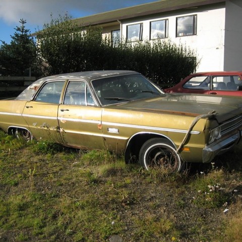 crop-13.09.2010_064__large_