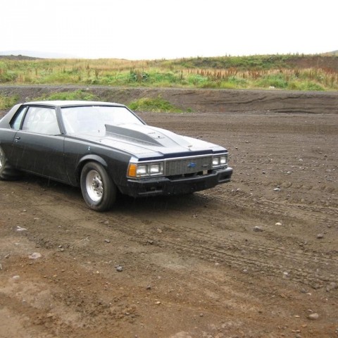 crop-13.09.2010_070__large_