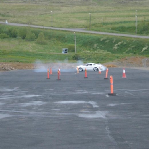 crop-1.7.2011_004__large_