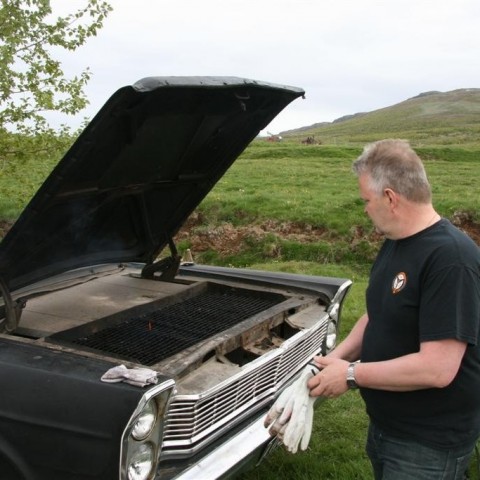 crop-01.07.2011_008__large_