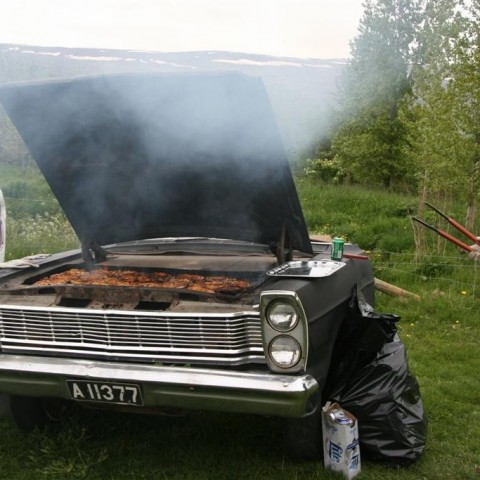 crop-01.07.2011_020__large_