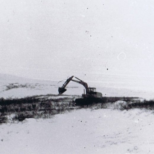 crop-ccf20012010_00001-1