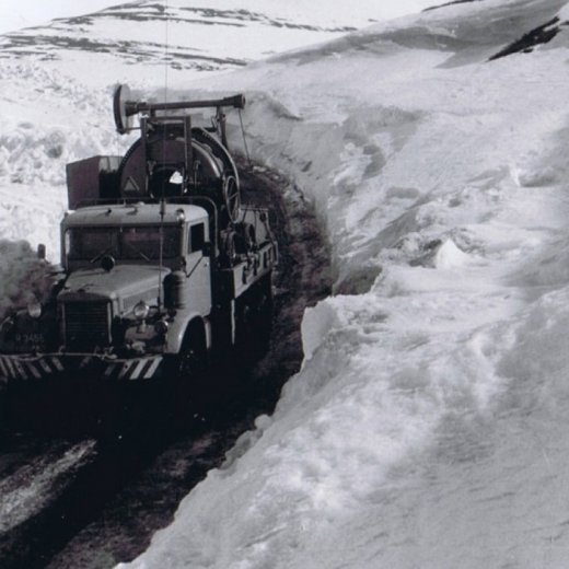 crop-ccf20012010_00001