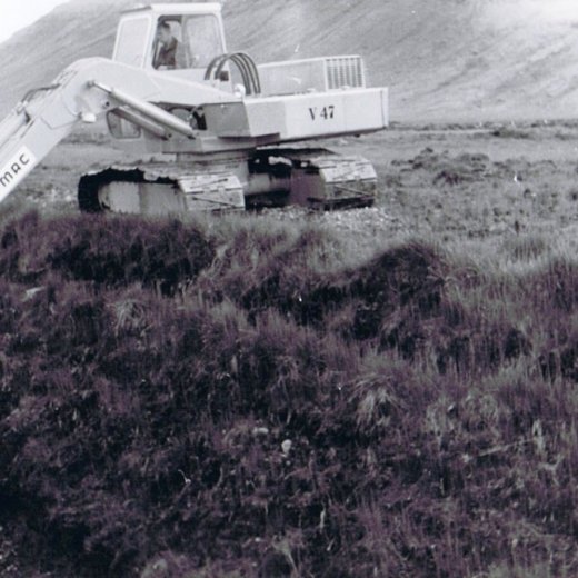 crop-ccf20012010_00002-2