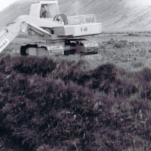 crop-ccf20012010_00002-2