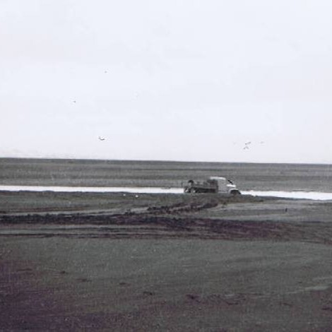 crop-cce20012010_00000-4