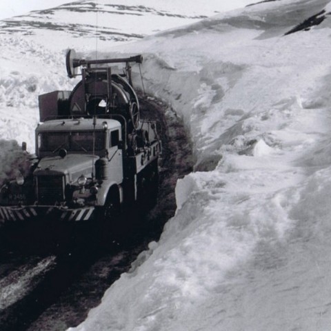 crop-ccf20012010_00001