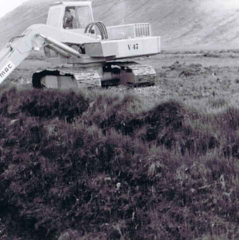 crop-ccf20012010_00002-2