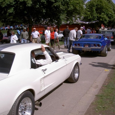 crop-09-08-08_110__large_