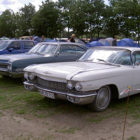 crop-09-08-08_134__large_