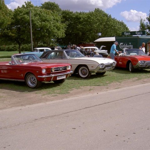 crop-09-08-08_157__large_