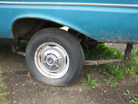 egs_2010_100__large_