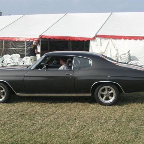 crop-p8026481__large_