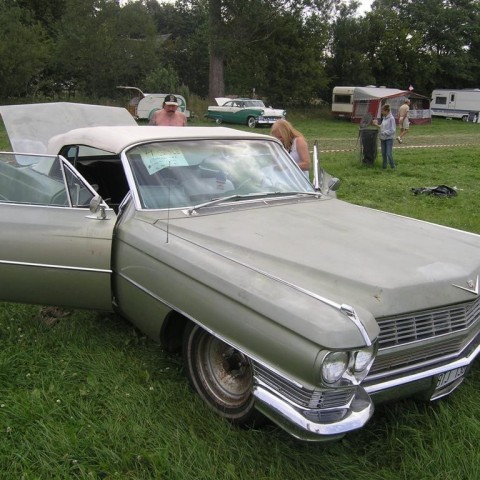 crop-p8026545__large_