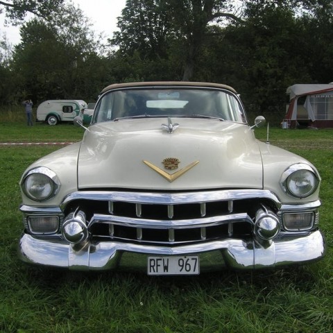 crop-p8026559__large_