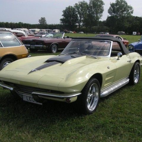 crop-p8026575__large_