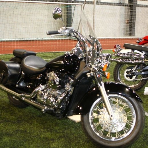 crop-bilasyning2008_009