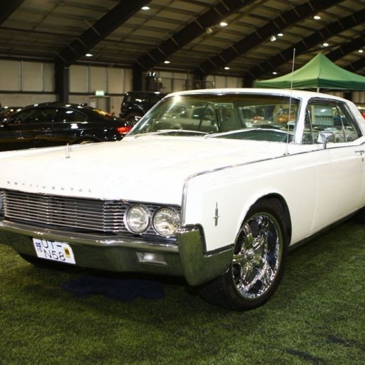 crop-bilasyning2008_028