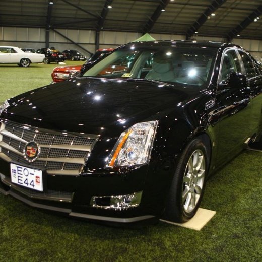 crop-bilasyning2008_034